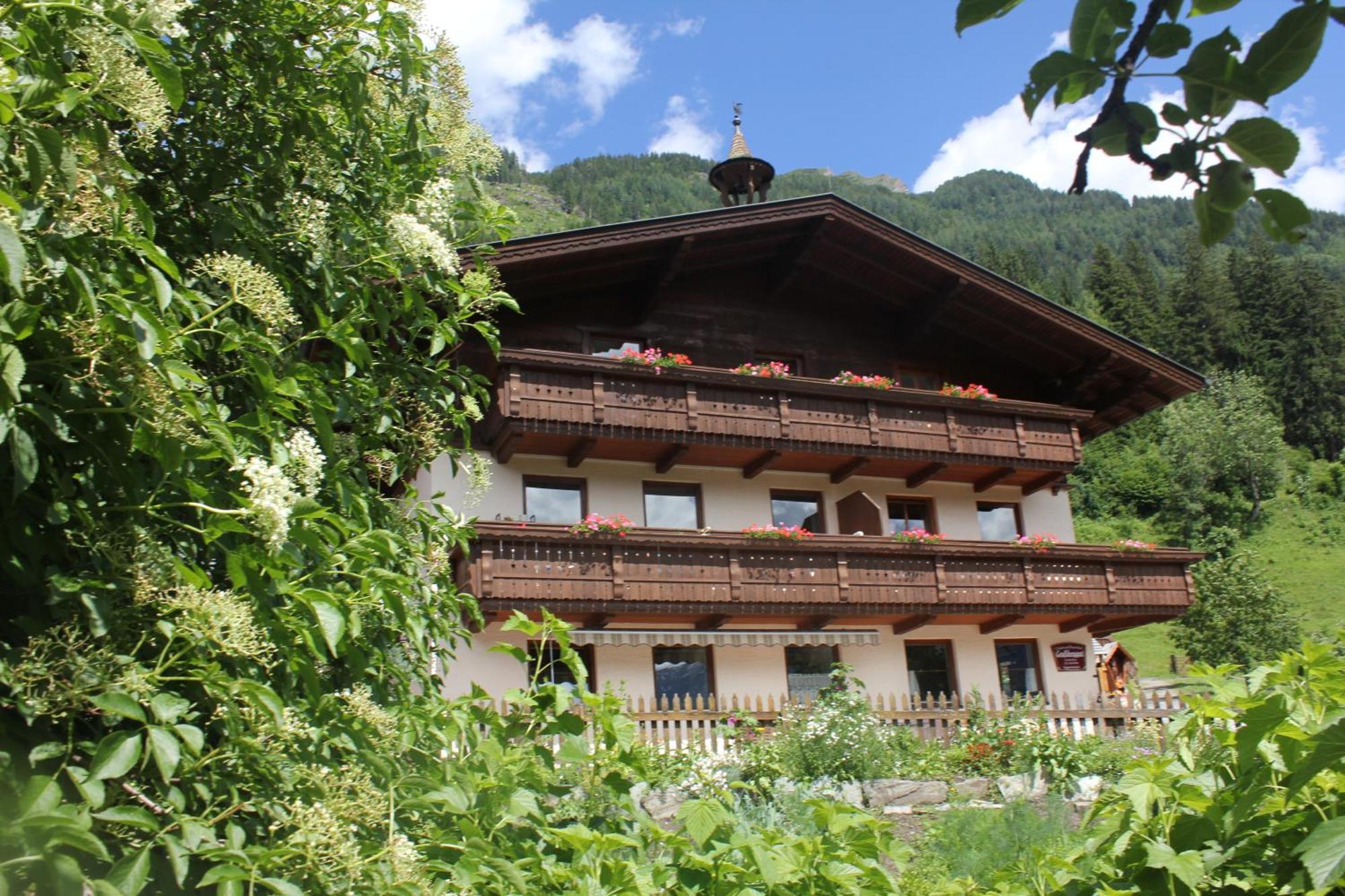Bauernhof Grussberggut Villa Bad Hofgastein Exteriör bild